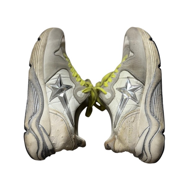 Golden goose - Picture 1 of 2